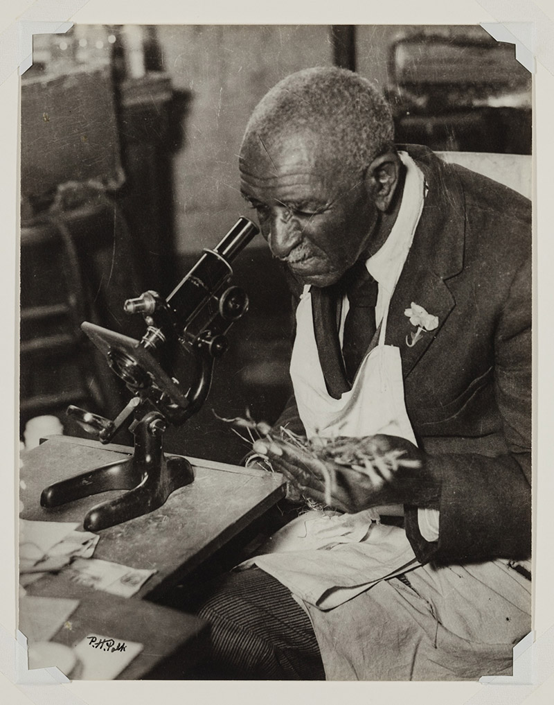 George Washington Carver (ca.1860-1943), botanist and inventor. 